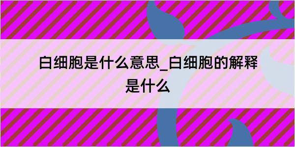 白细胞是什么意思_白细胞的解释是什么