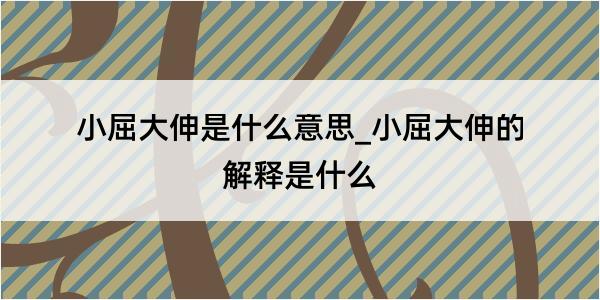 小屈大伸是什么意思_小屈大伸的解释是什么