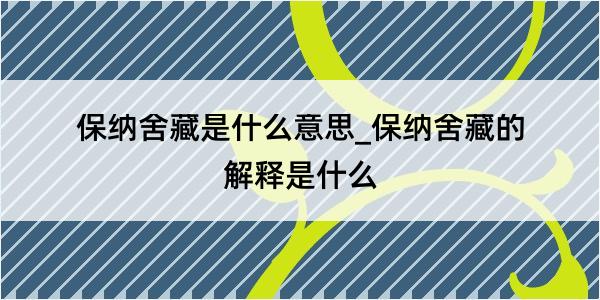 保纳舍藏是什么意思_保纳舍藏的解释是什么