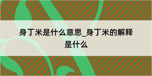 身丁米是什么意思_身丁米的解释是什么