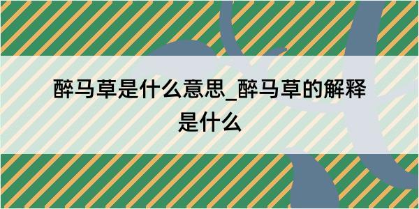 醉马草是什么意思_醉马草的解释是什么