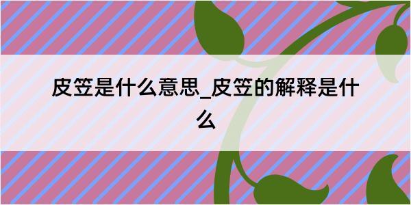 皮笠是什么意思_皮笠的解释是什么