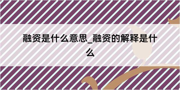 融资是什么意思_融资的解释是什么