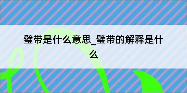 璧带是什么意思_璧带的解释是什么