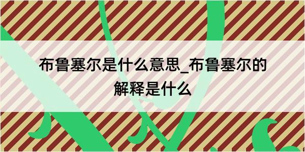 布鲁塞尔是什么意思_布鲁塞尔的解释是什么