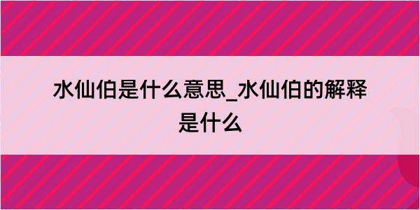 水仙伯是什么意思_水仙伯的解释是什么