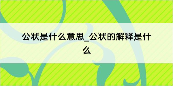 公状是什么意思_公状的解释是什么