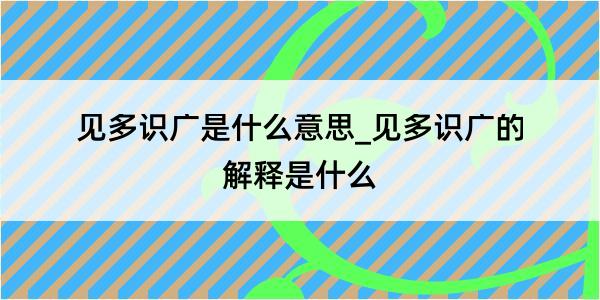 见多识广是什么意思_见多识广的解释是什么