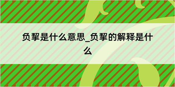 负挈是什么意思_负挈的解释是什么