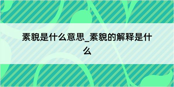 素貌是什么意思_素貌的解释是什么