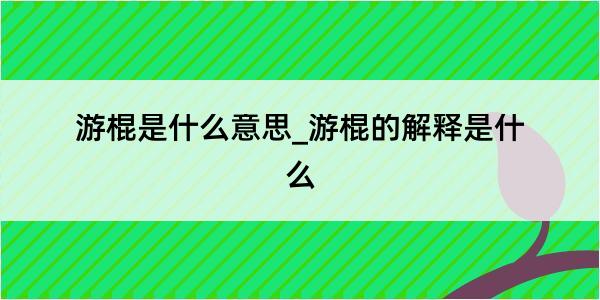 游棍是什么意思_游棍的解释是什么