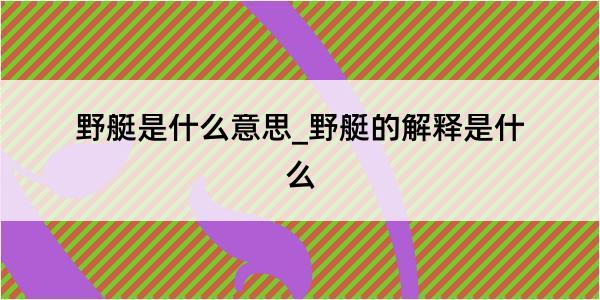 野艇是什么意思_野艇的解释是什么