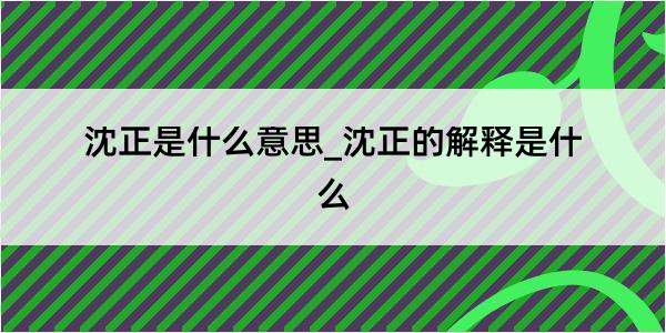 沈正是什么意思_沈正的解释是什么