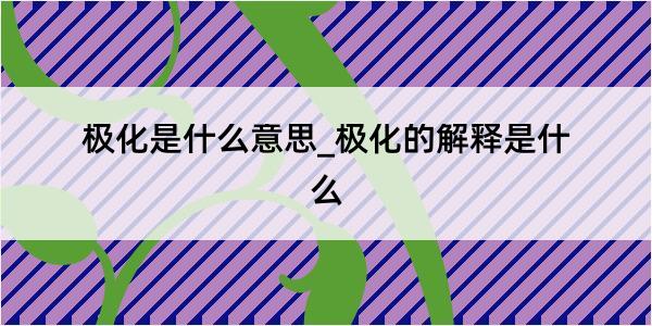 极化是什么意思_极化的解释是什么