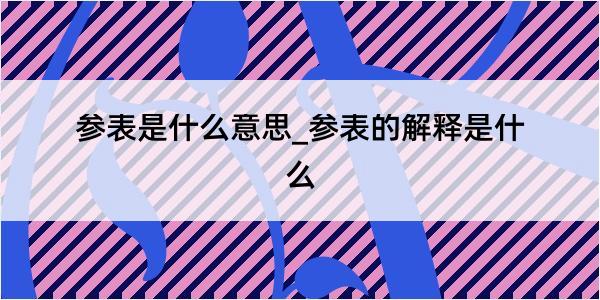 参表是什么意思_参表的解释是什么