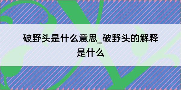 破野头是什么意思_破野头的解释是什么