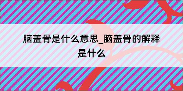 脑盖骨是什么意思_脑盖骨的解释是什么