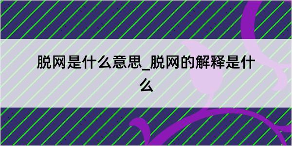 脱网是什么意思_脱网的解释是什么