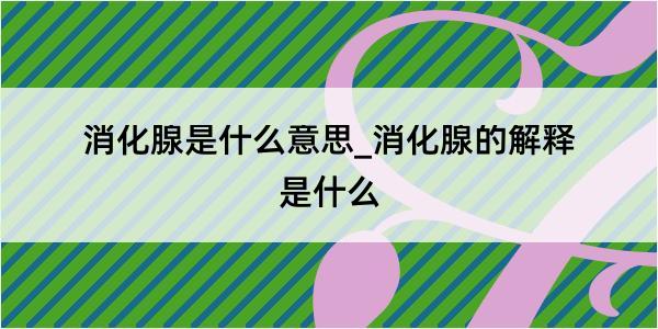 消化腺是什么意思_消化腺的解释是什么