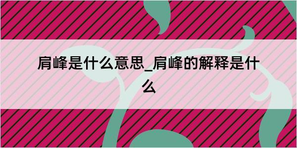 肩峰是什么意思_肩峰的解释是什么