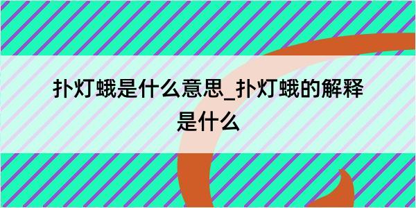 扑灯蛾是什么意思_扑灯蛾的解释是什么