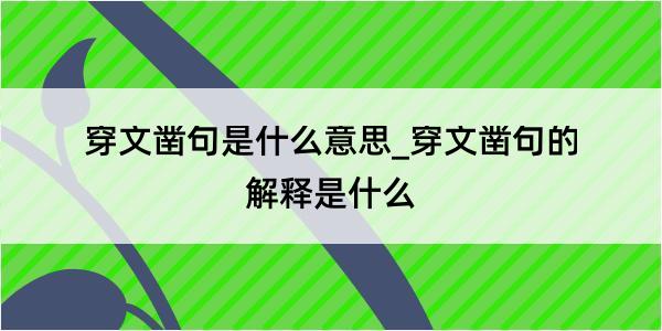 穿文凿句是什么意思_穿文凿句的解释是什么