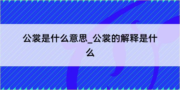 公裳是什么意思_公裳的解释是什么