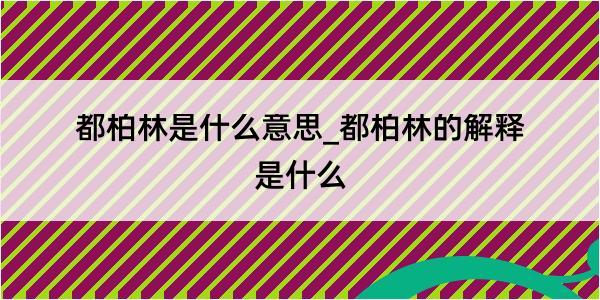 都柏林是什么意思_都柏林的解释是什么