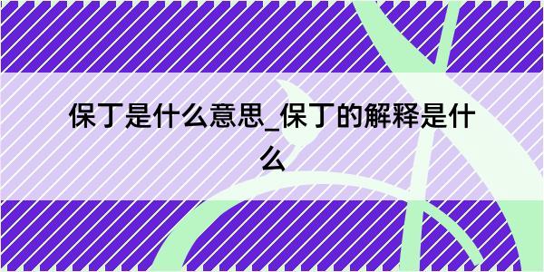 保丁是什么意思_保丁的解释是什么