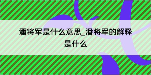 潘将军是什么意思_潘将军的解释是什么