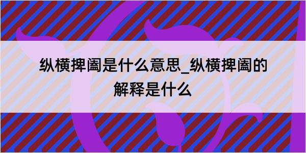 纵横捭阖是什么意思_纵横捭阖的解释是什么