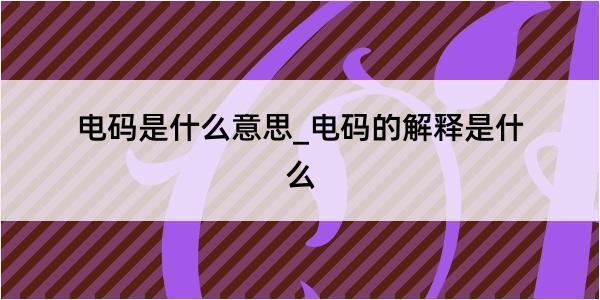 电码是什么意思_电码的解释是什么