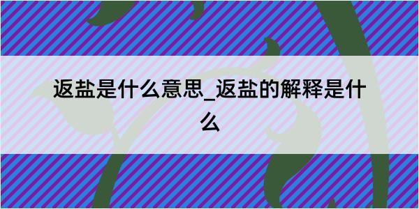 返盐是什么意思_返盐的解释是什么