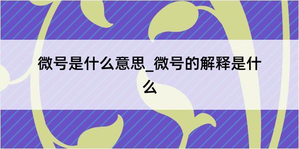 微号是什么意思_微号的解释是什么