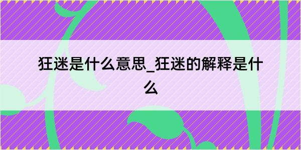 狂迷是什么意思_狂迷的解释是什么