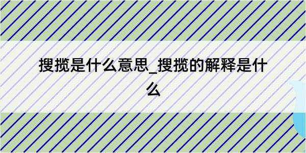 搜揽是什么意思_搜揽的解释是什么