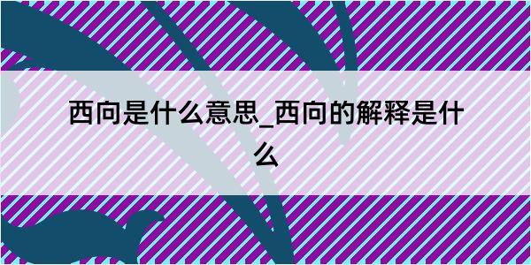 西向是什么意思_西向的解释是什么