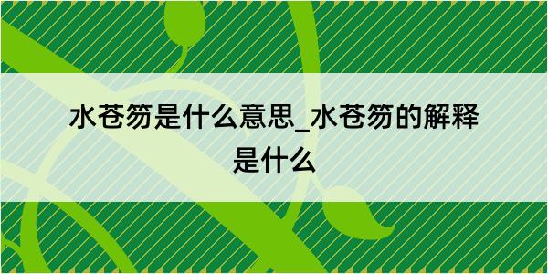 水苍笏是什么意思_水苍笏的解释是什么