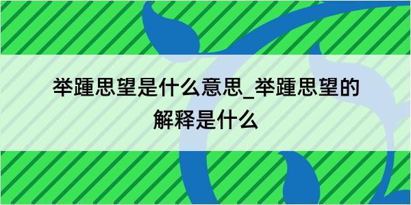 举踵思望是什么意思_举踵思望的解释是什么