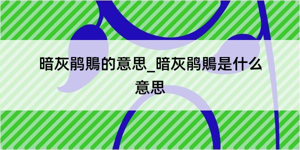 暗灰鹃鵙的意思_暗灰鹃鵙是什么意思