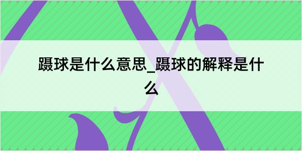 蹑球是什么意思_蹑球的解释是什么