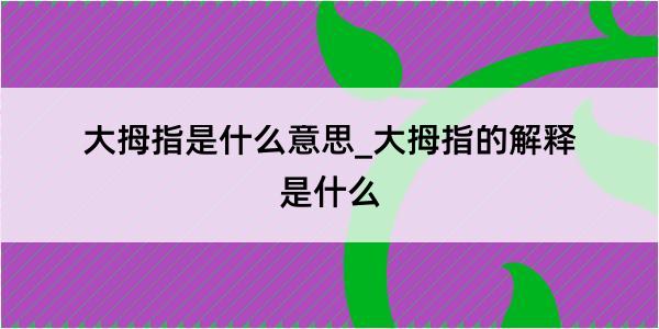 大拇指是什么意思_大拇指的解释是什么