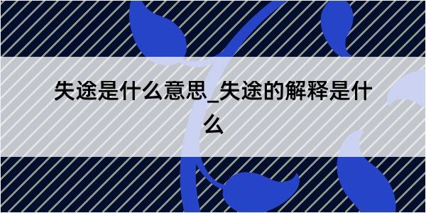 失途是什么意思_失途的解释是什么