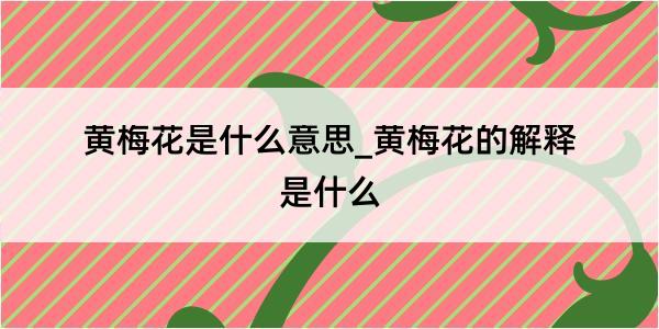 黄梅花是什么意思_黄梅花的解释是什么