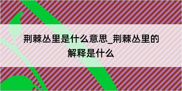 荆棘丛里是什么意思_荆棘丛里的解释是什么