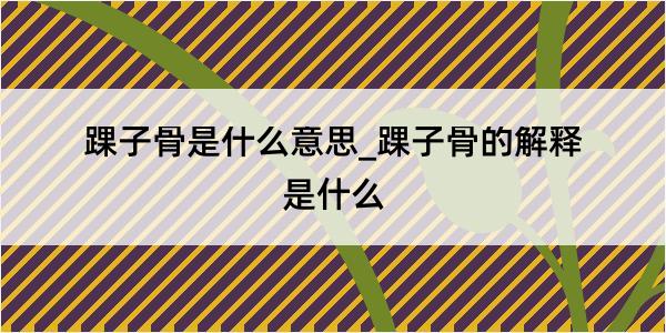 踝子骨是什么意思_踝子骨的解释是什么