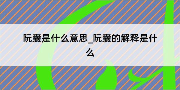 阮囊是什么意思_阮囊的解释是什么