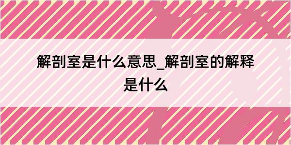 解剖室是什么意思_解剖室的解释是什么