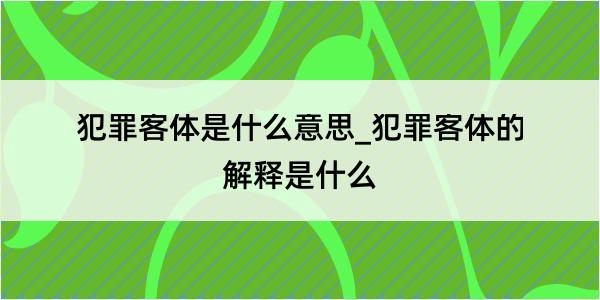 犯罪客体是什么意思_犯罪客体的解释是什么