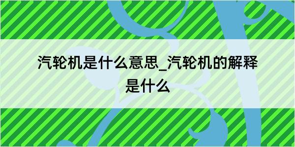 汽轮机是什么意思_汽轮机的解释是什么